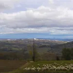 Holiday home Casa Dei Nonni